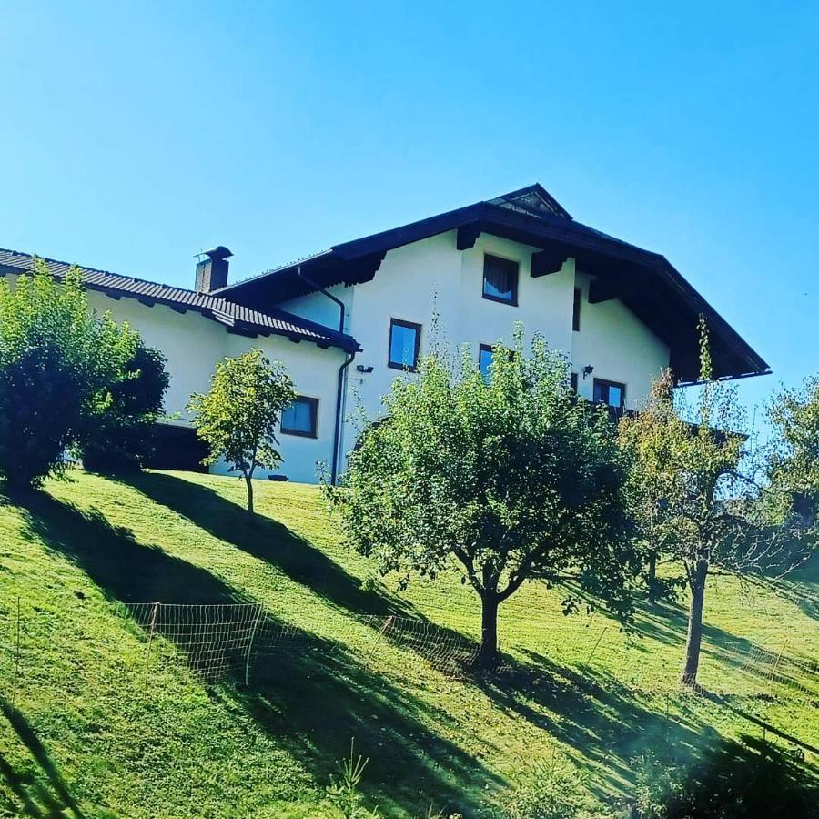 Ferienwohnung Schaller Feistritz an der Drau Exteriör bild