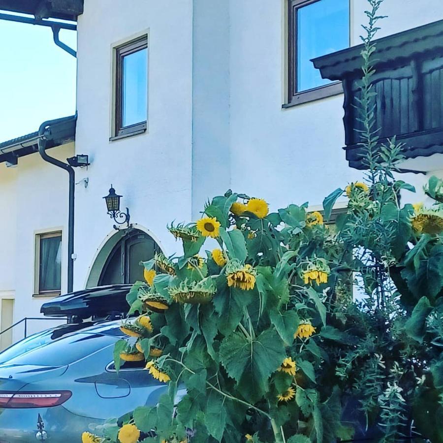 Ferienwohnung Schaller Feistritz an der Drau Exteriör bild