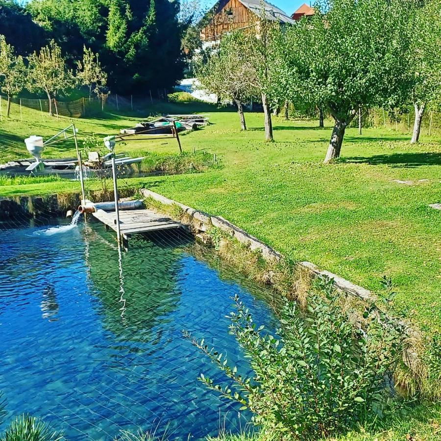 Ferienwohnung Schaller Feistritz an der Drau Exteriör bild