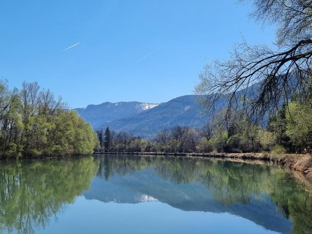 Ferienwohnung Schaller Feistritz an der Drau Exteriör bild