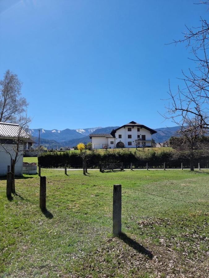 Ferienwohnung Schaller Feistritz an der Drau Exteriör bild