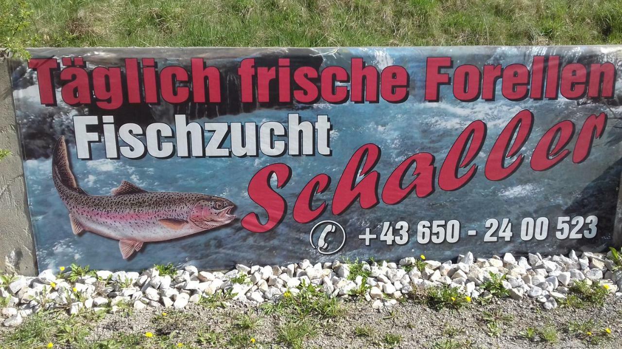Ferienwohnung Schaller Feistritz an der Drau Exteriör bild